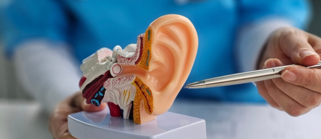 timpano perforato garbatella