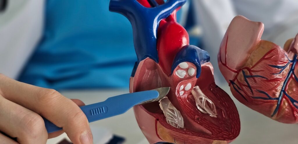 visita cardiochirurgica
